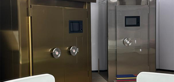 DataX Finsafe Safe Deposit Boxes